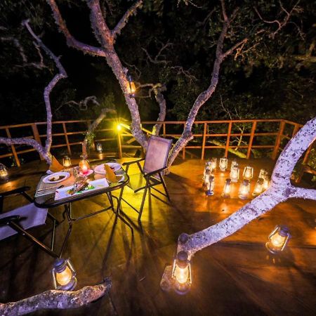 Tribe Yala - Luxury Camping Екстериор снимка