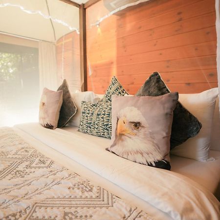 Tribe Yala - Luxury Camping Екстериор снимка