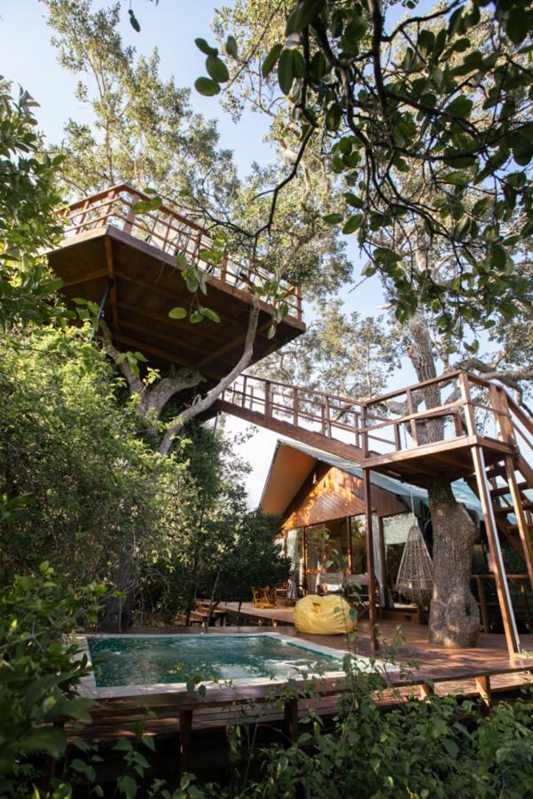 Tribe Yala - Luxury Camping Екстериор снимка