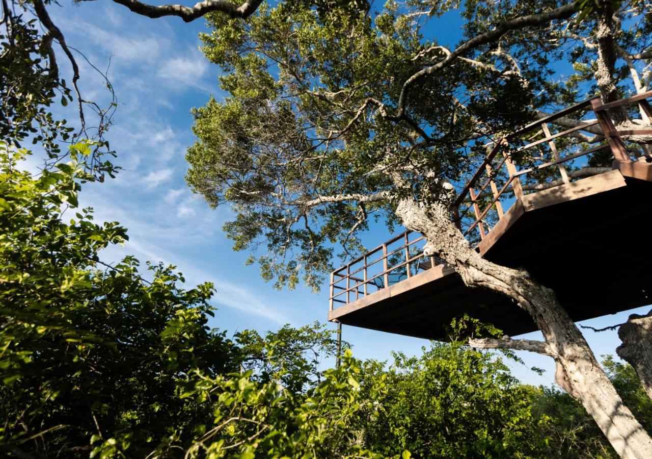 Tribe Yala - Luxury Camping Екстериор снимка